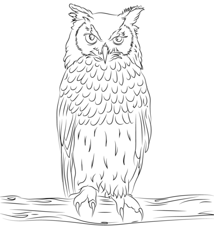 Bengalese Eagle Owl  Coloring Page